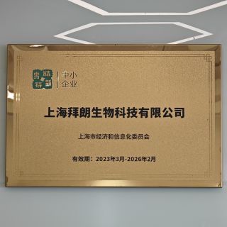 我公司获得了“专精特新”企业称号